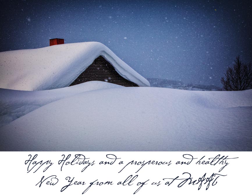 Snowy Scene ©2019 vidarnm/Depositphotos.com